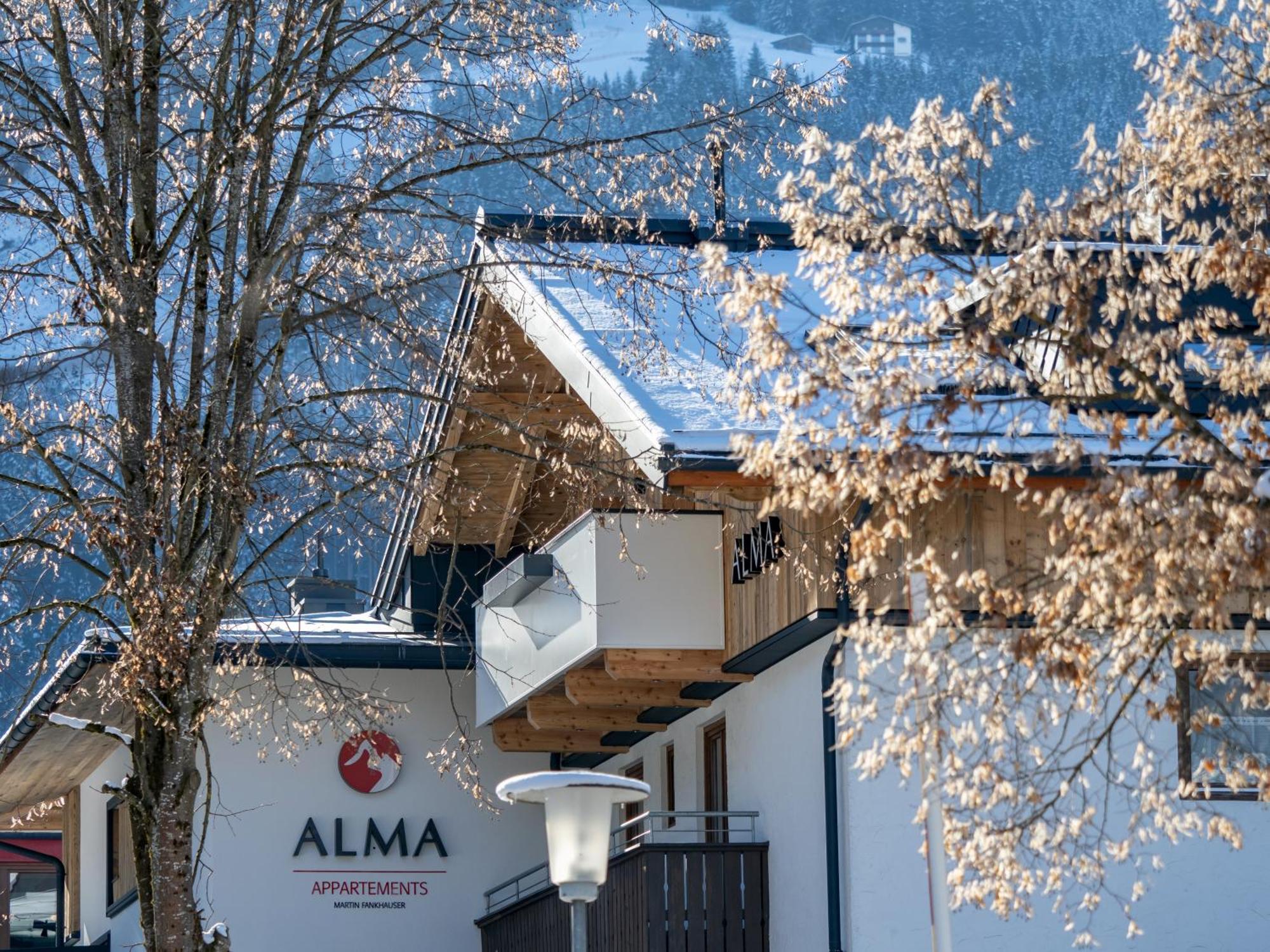 Appartements Alma Майрхофен Экстерьер фото